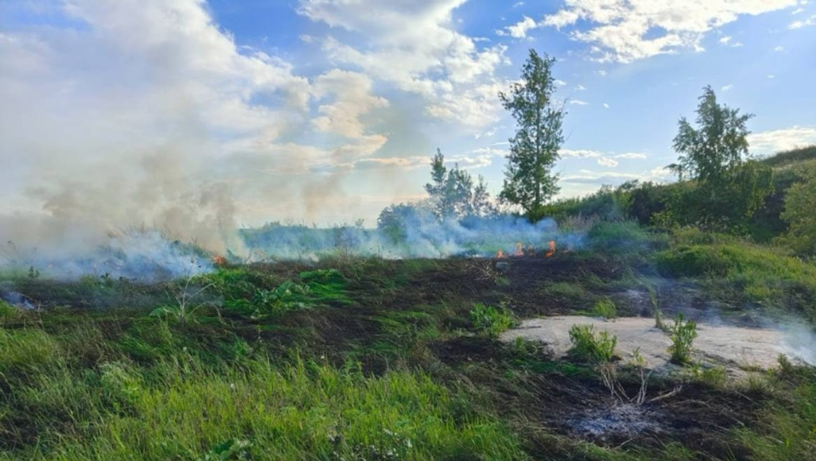 Янғын осрағы теркәлде