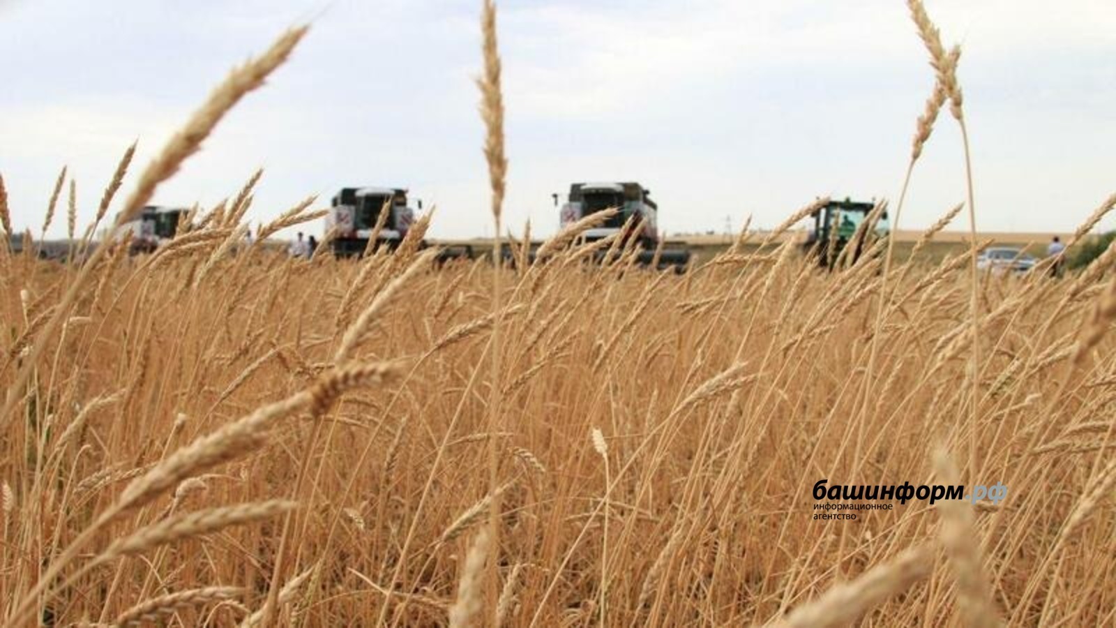 Республикала 2026 йылда фермерҙарға дәүләт ярҙамы 440 миллион һумға тиклем артты