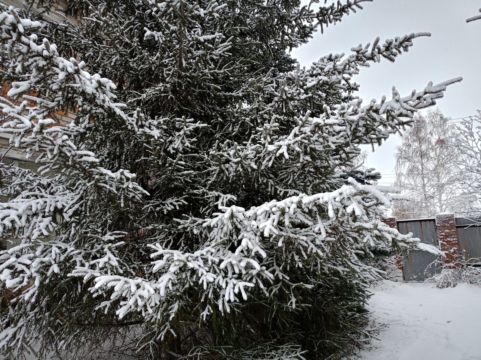 Минус 27 градусҡа тиклем һыуыта