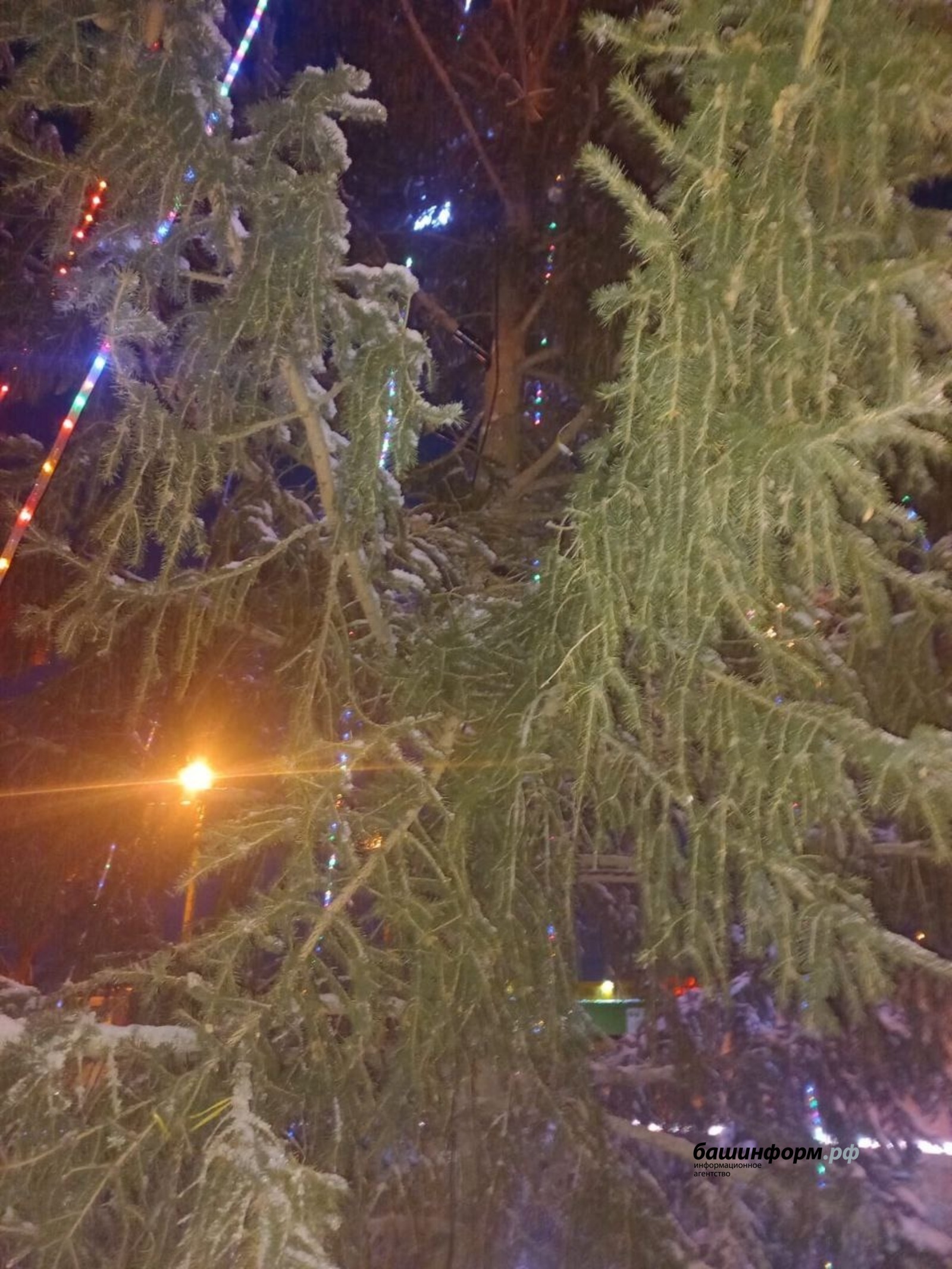 На центральной площади в деревне Князево под Уфой вандалы испортили новогоднюю ель