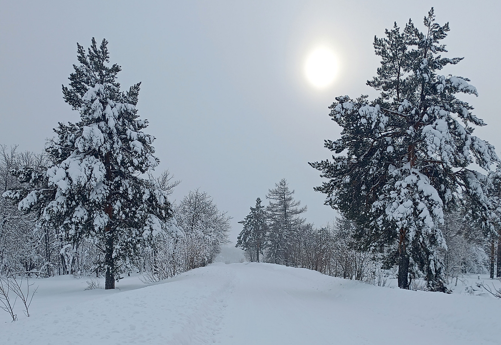 Ҡышҡы селләнең сатлама һыуығы килде