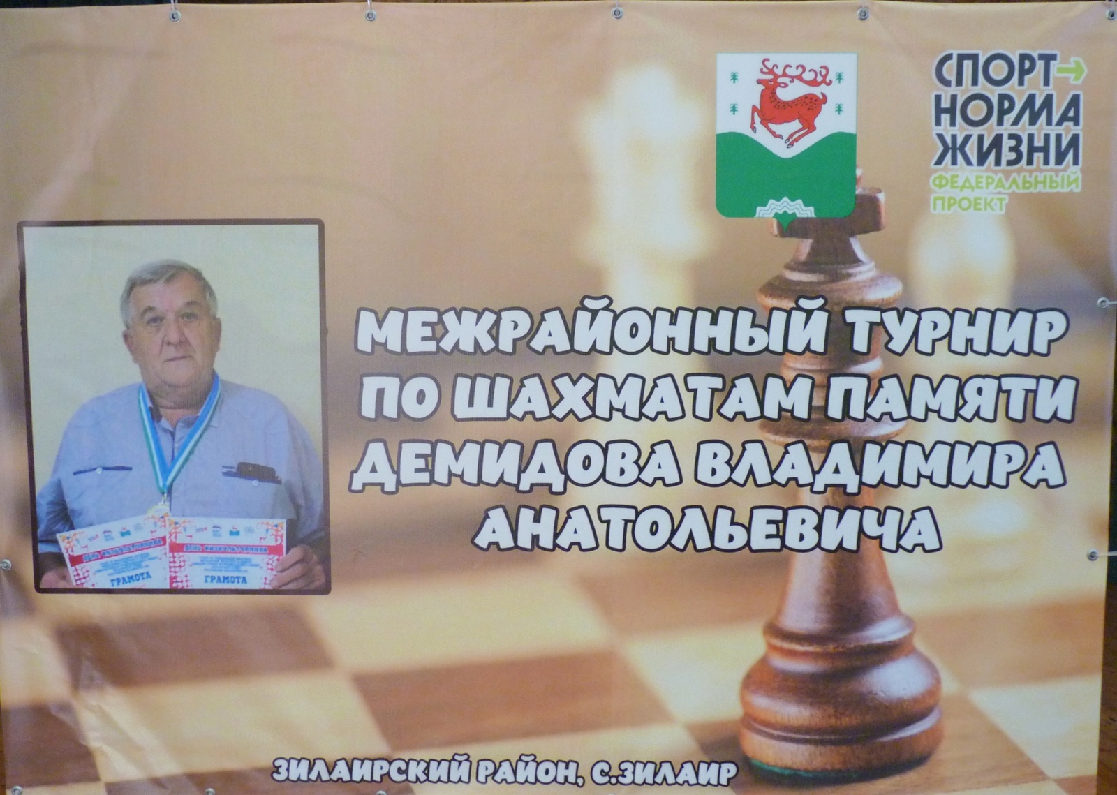 Межрайонный шахматный турнир памяти В.А. Демидова