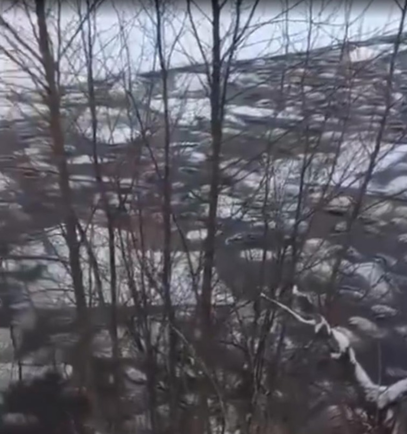 200-ҙән артыҡ һарыҡ боҙ аҫтына киткән!