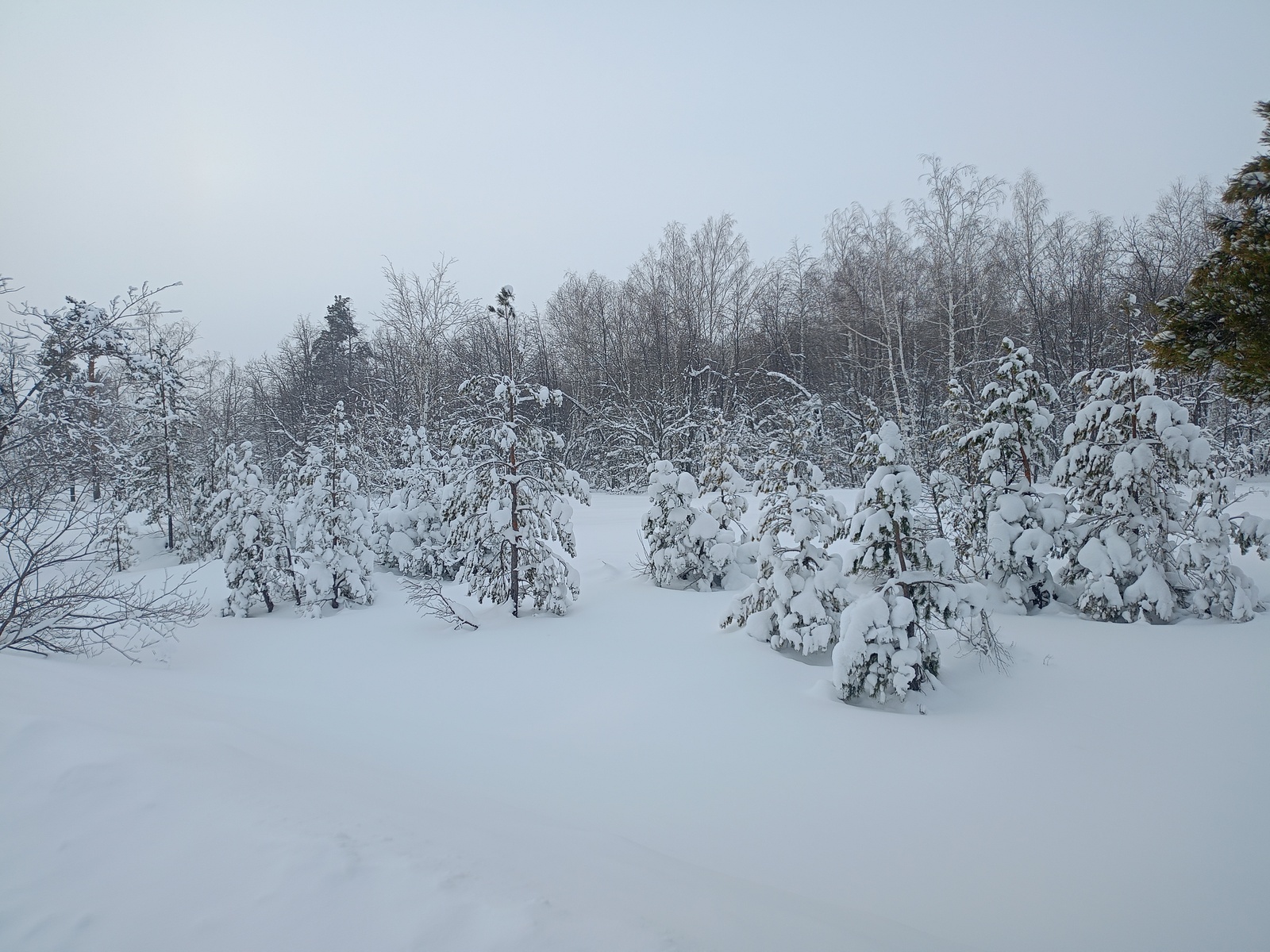 Киләһе көндәрҙә һыуығыраҡ була