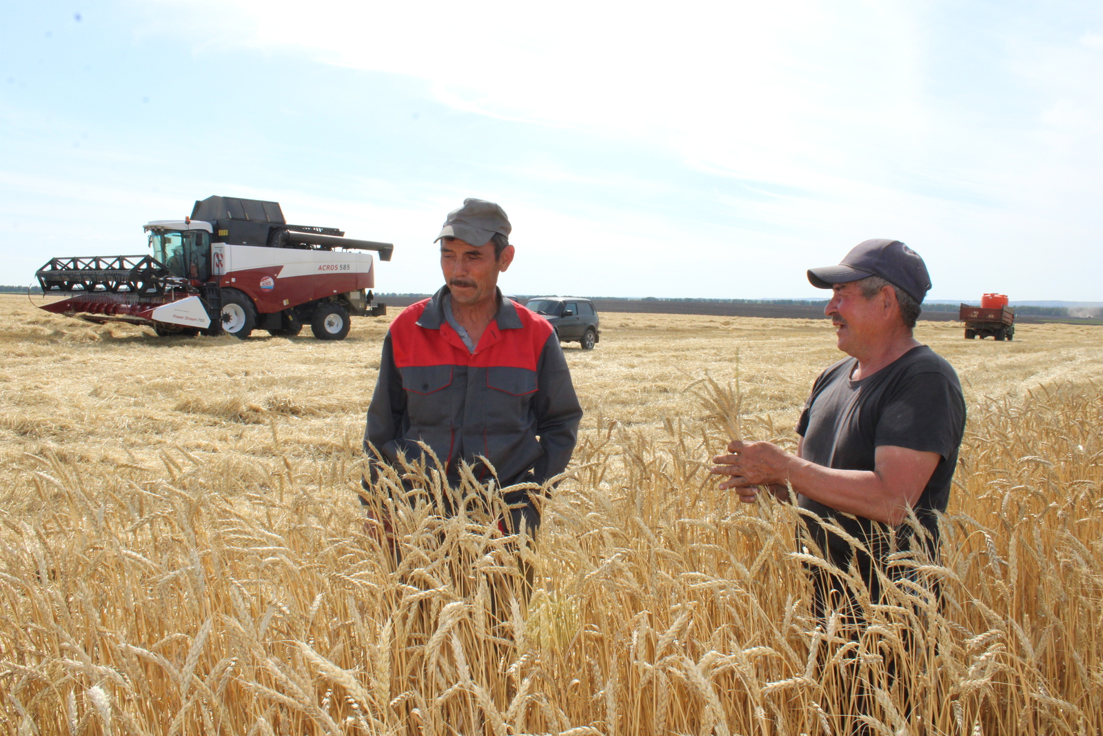 Уңыш йыйыуға - беренселәрҙән булып