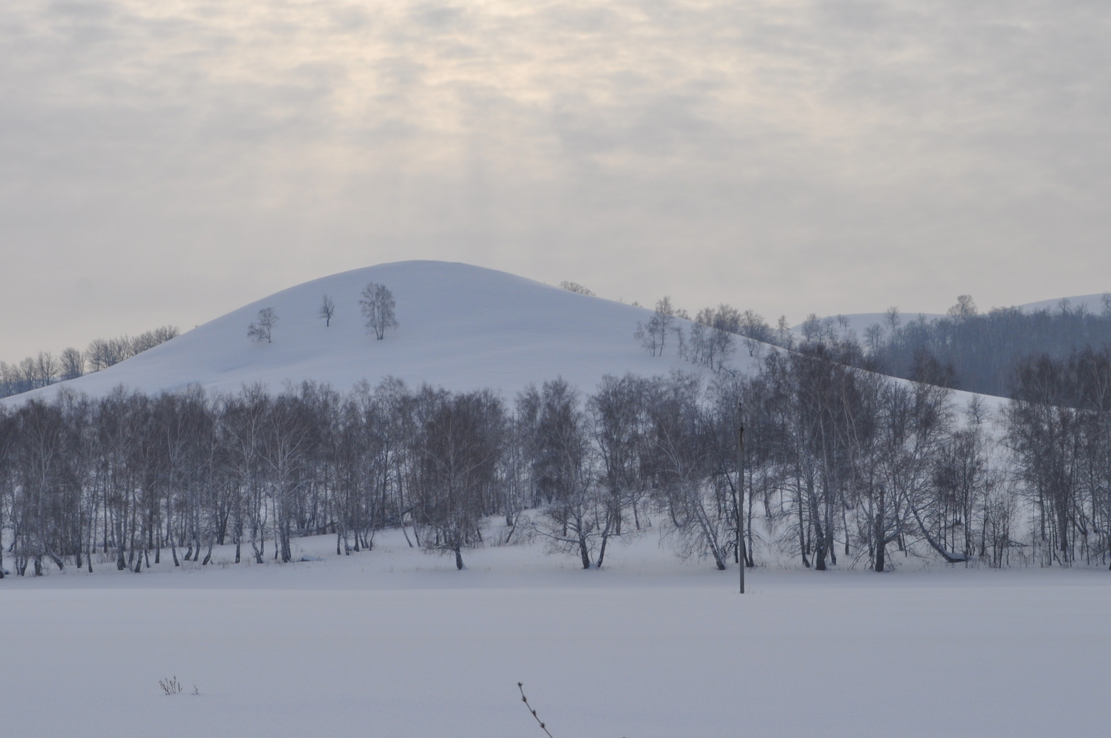 Ҡасан йылыта
