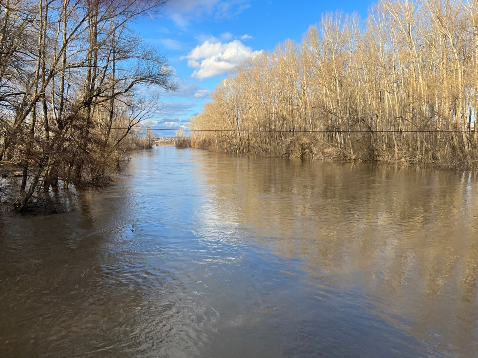 Река Большой Ик вышла из берегов и подтопила три придомовых участка