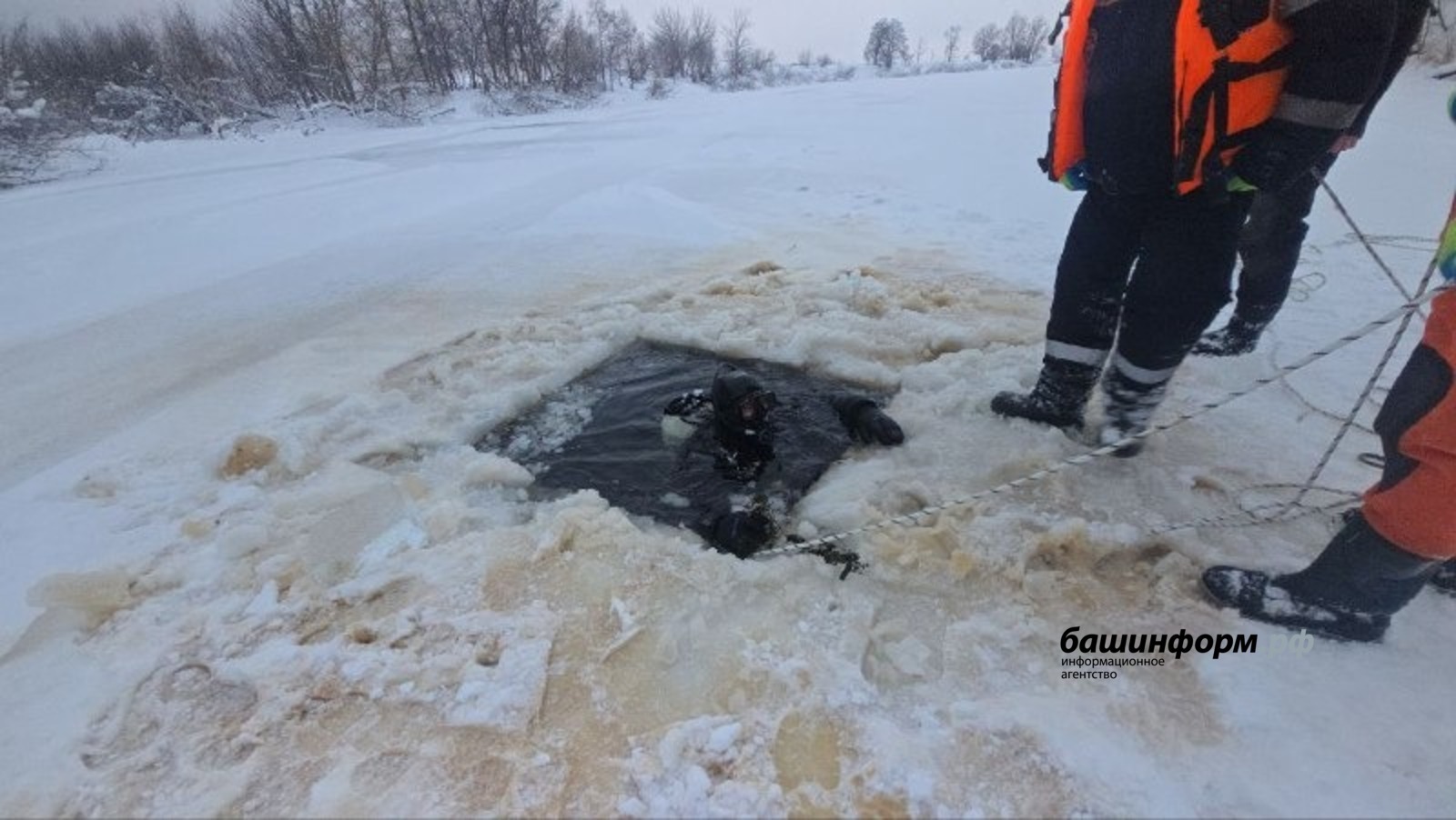 В Башкортостане спасатели рассказали, как достали из озера более 960 туш овец