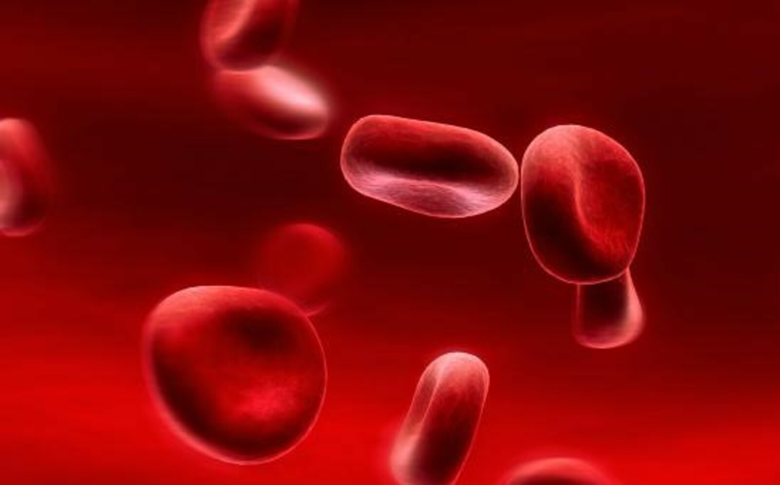 РАЗЖИЖАЕМ КРОВЬ