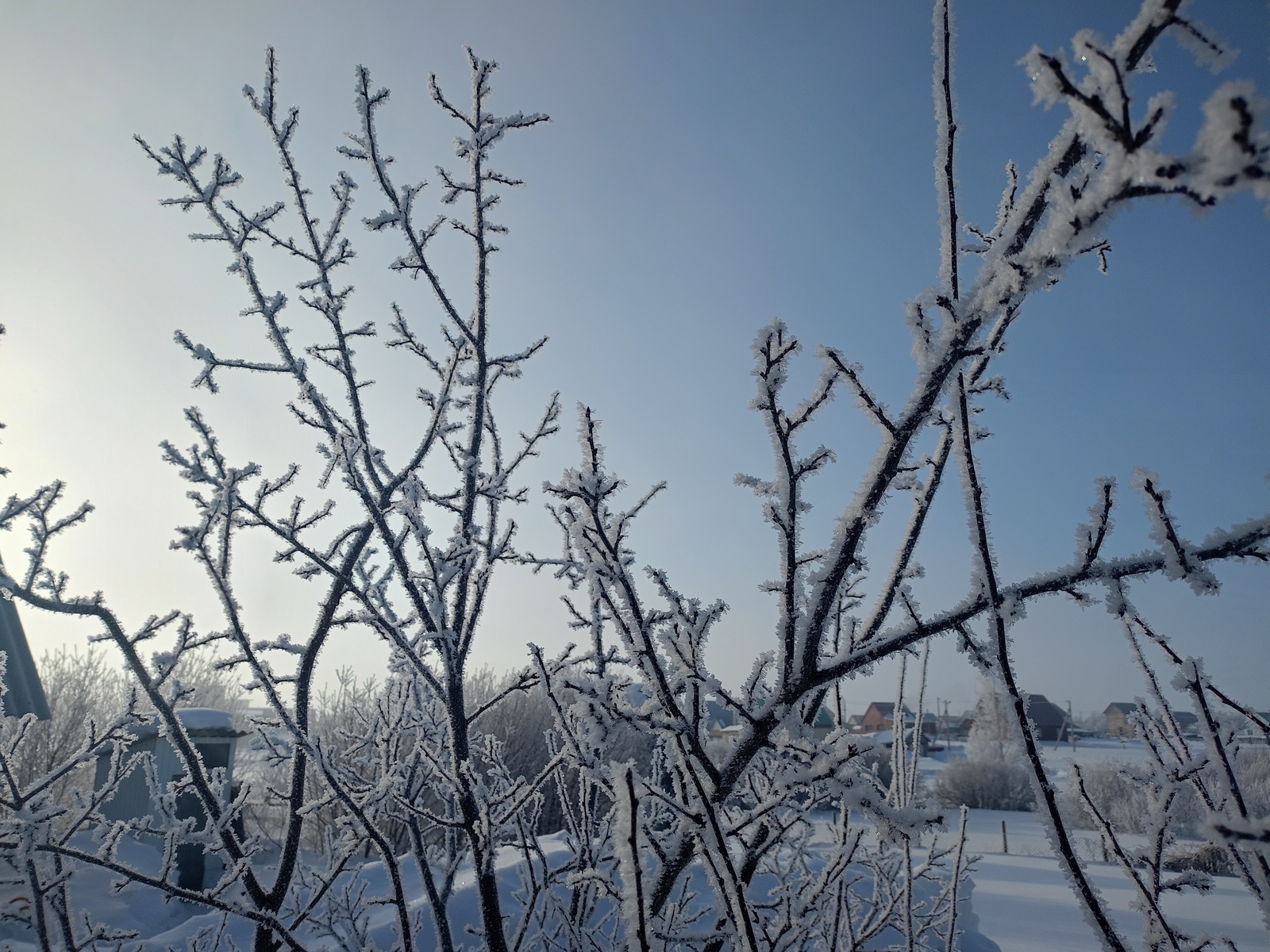 Көндәр ҡасан йылына?