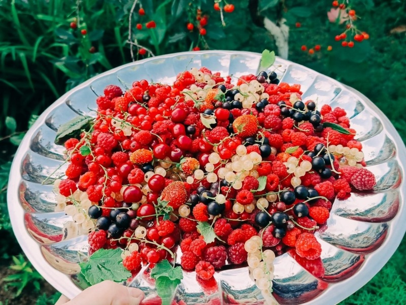 Розалия Хисаева https://fotobank02.ru/