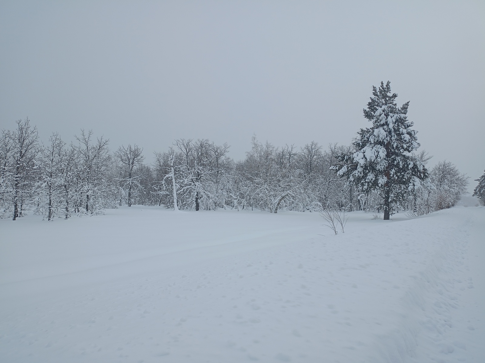 Ҡар яуа, буран сыға һәм ҡапыл һыуыта