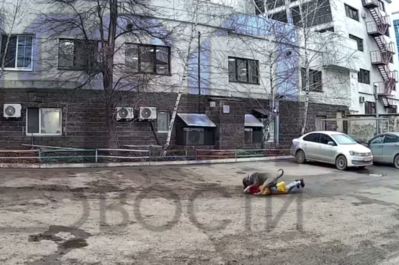 В Башкирии бойцовская собака напала на ребенка